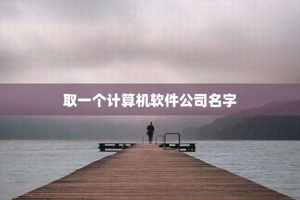 取一个计算机软件公司名字