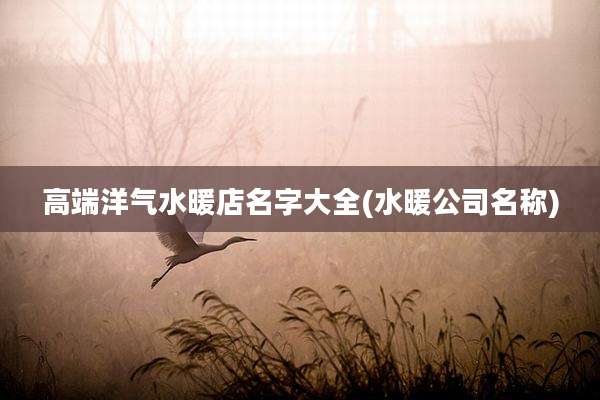 高端洋气水暖店名字大全(水暖公司名称)