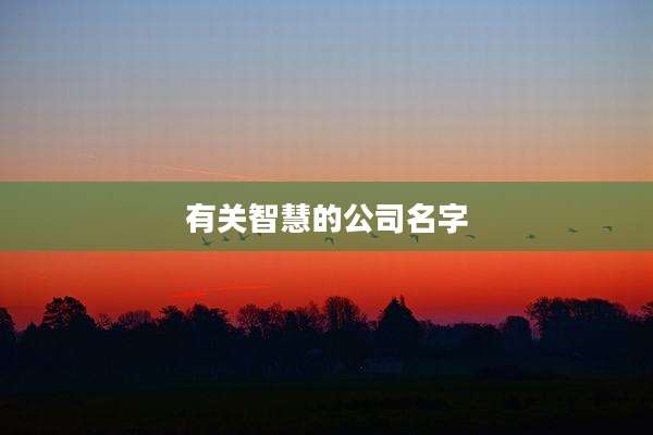 有关智慧的公司名字