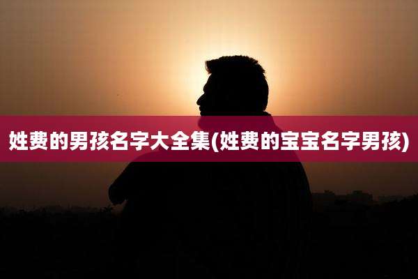 姓费的男孩名字大全集(姓费的宝宝名字男孩)
