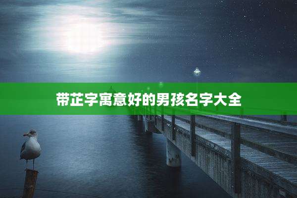 带芷字寓意好的男孩名字大全