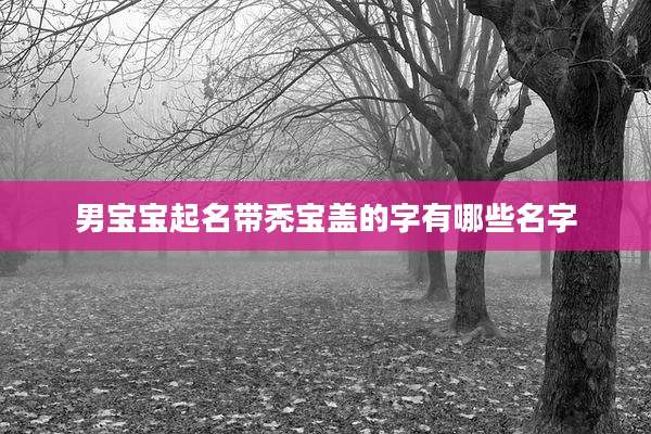 男宝宝起名带秃宝盖的字有哪些名字