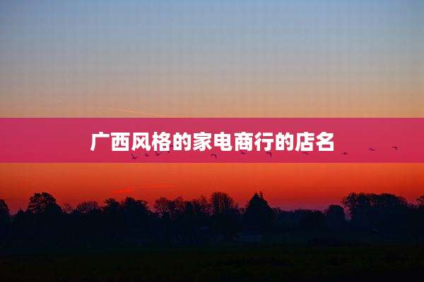 广西风格的家电商行的店名
