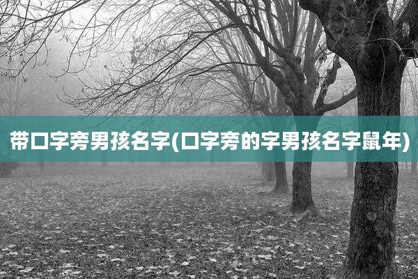 带口字旁男孩名字(口字旁的字男孩名字鼠年)