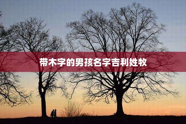 带木字的男孩名字吉利姓牧
