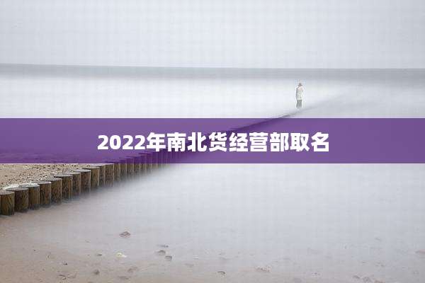 2022年南北货经营部取名
