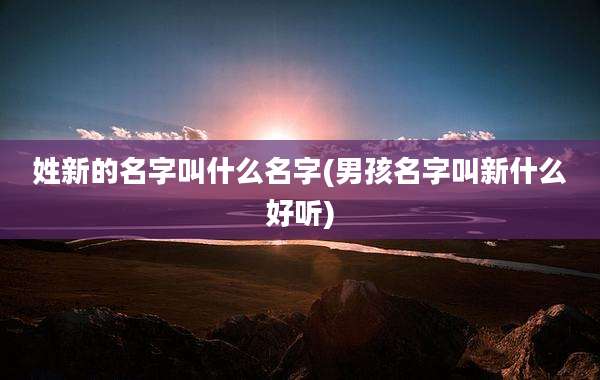 姓新的名字叫什么名字(男孩名字叫新什么好听)