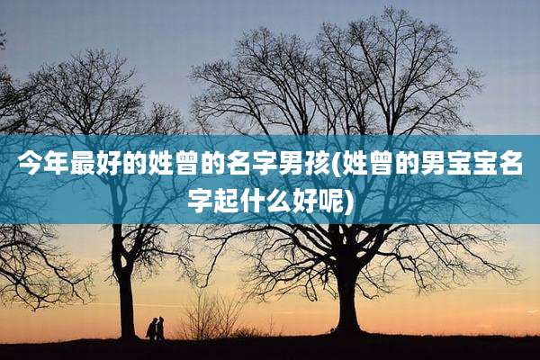 今年最好的姓曾的名字男孩(姓曾的男宝宝名字起什么好呢)