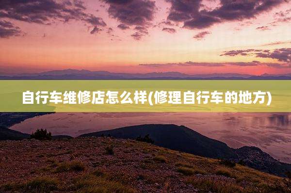 自行车维修店怎么样(修理自行车的地方)