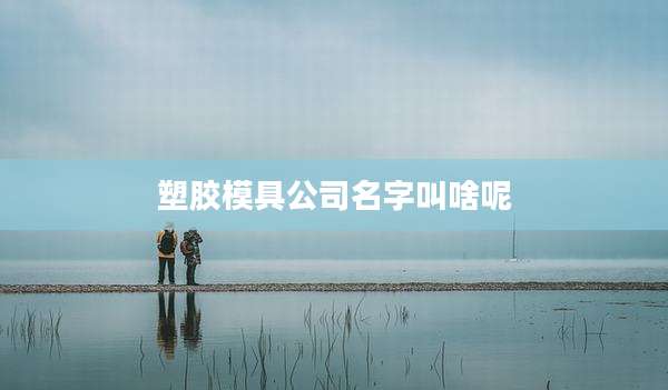塑胶模具公司名字叫啥呢