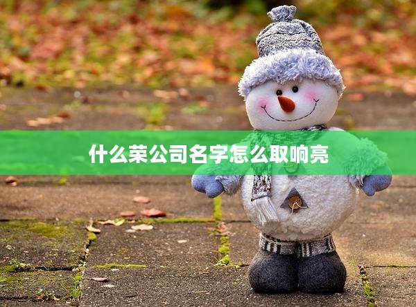 什么荣公司名字怎么取响亮