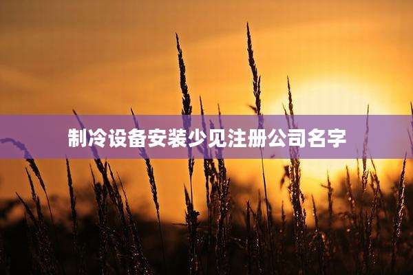制冷设备安装少见注册公司名字