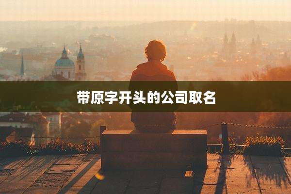 带原字开头的公司取名