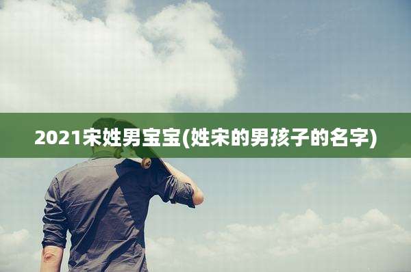 2021宋姓男宝宝(姓宋的男孩子的名字)