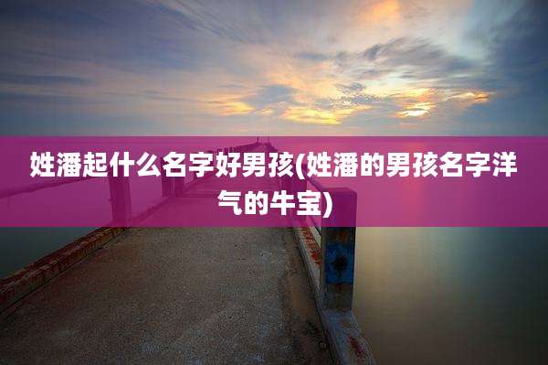 姓潘起什么名字好男孩(姓潘的男孩名字洋气的牛宝)