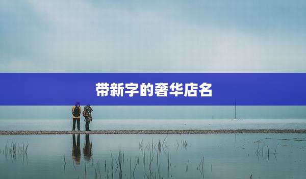 带新字的奢华店名
