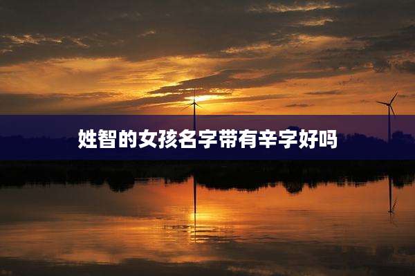 姓智的女孩名字带有辛字好吗