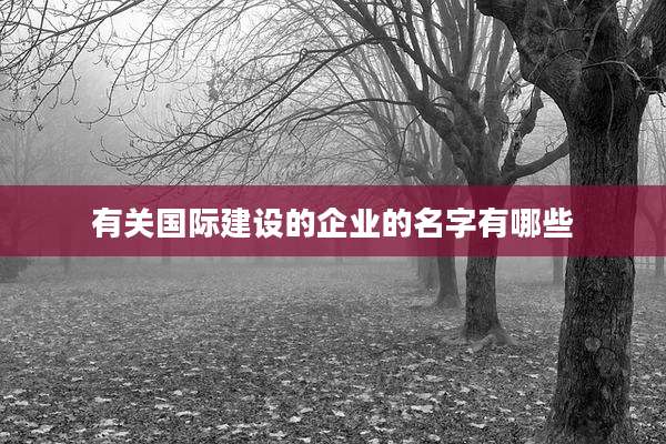有关国际建设的企业的名字有哪些