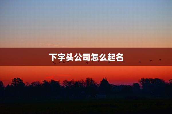 下字头公司怎么起名