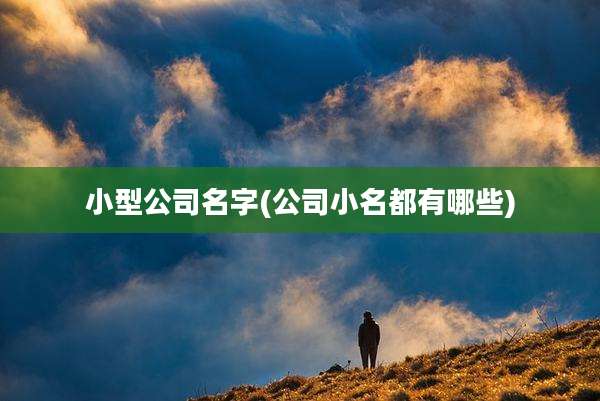 小型公司名字(公司小名都有哪些)