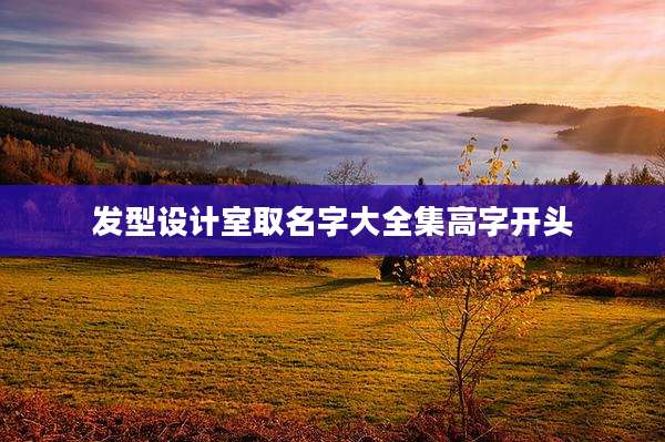 发型设计室取名字大全集高字开头