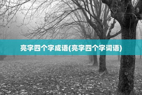 亮字四个字成语(亮字四个字词语)