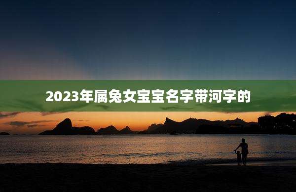 2023年属兔女宝宝名字带河字的