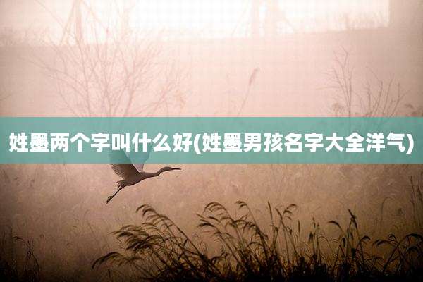 姓墨两个字叫什么好(姓墨男孩名字大全洋气)