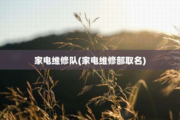 家电维修队(家电维修部取名)