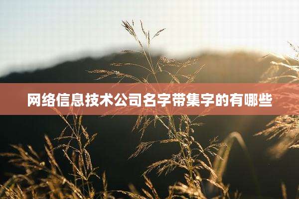 网络信息技术公司名字带集字的有哪些