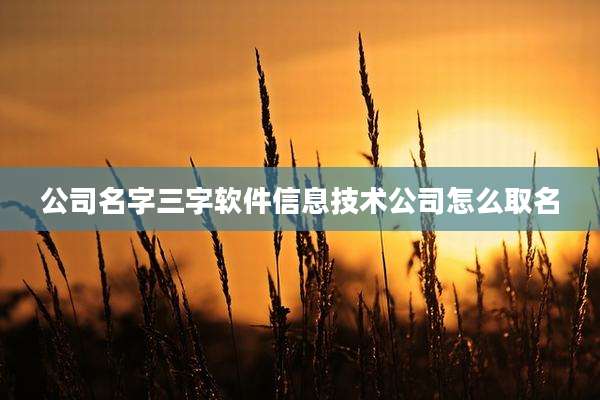 公司名字三字软件信息技术公司怎么取名