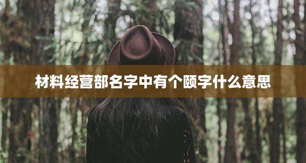 材料经营部名字中有个颐字什么意思