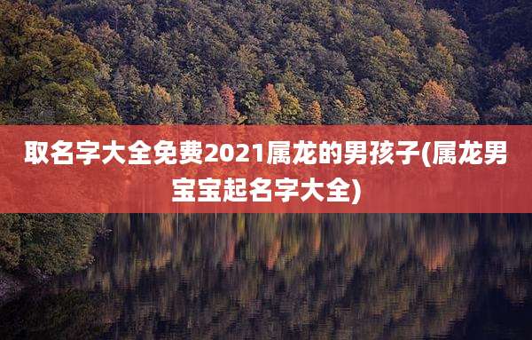 取名字大全免费2021属龙的男孩子(属龙男宝宝起名字大全)