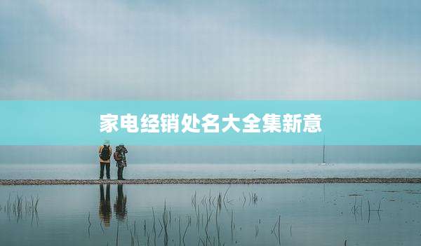 家电经销处名大全集新意