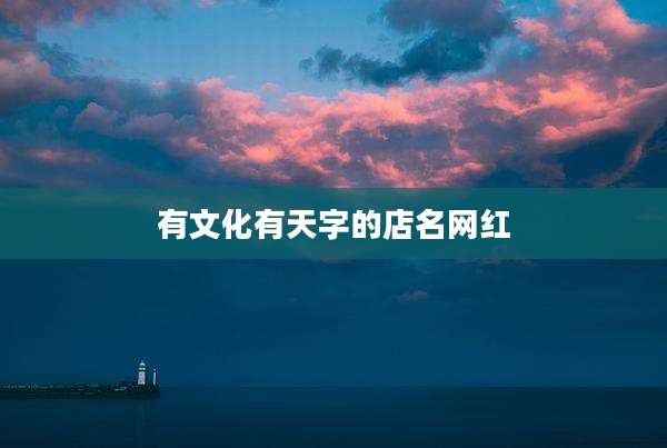 有文化有天字的店名网红