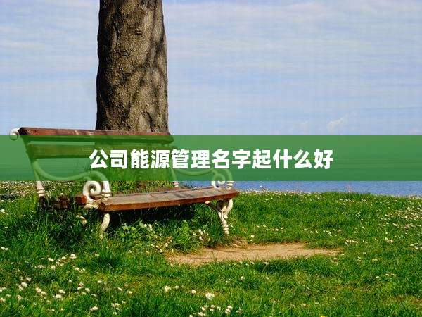 公司能源管理名字起什么好