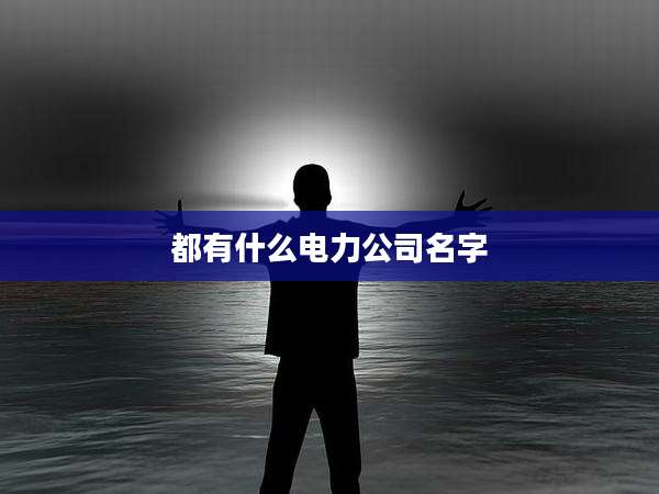 都有什么电力公司名字