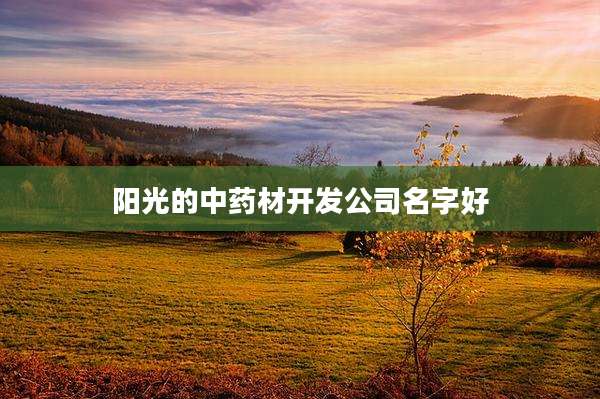 阳光的中药材开发公司名字好