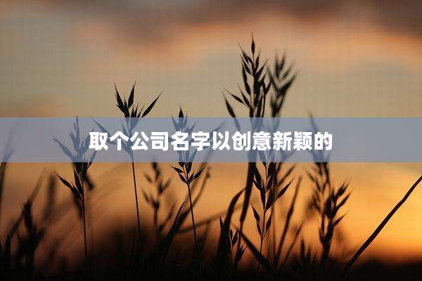 取个公司名字以创意新颖的