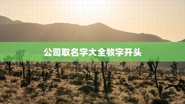 公司取名字大全牧字开头