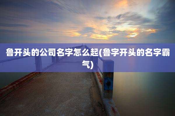 鲁开头的公司名字怎么起(鲁字开头的名字霸气)