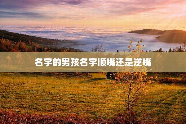 名字的男孩名字顺嘴还是逆嘴