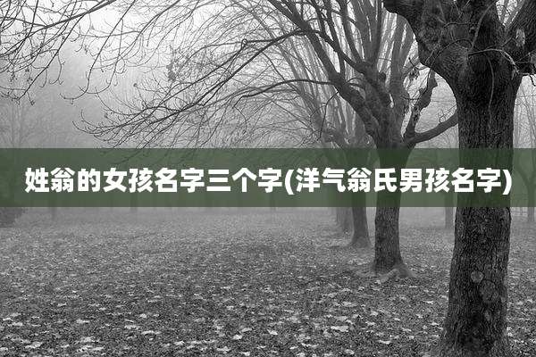 姓翁的女孩名字三个字(洋气翁氏男孩名字)