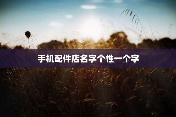 手机配件店名字个性一个字