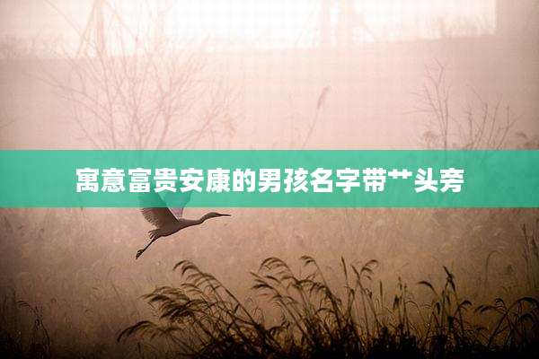 寓意富贵安康的男孩名字带艹头旁