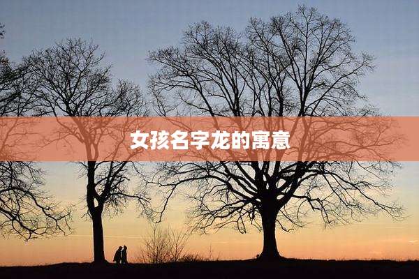 女孩名字龙的寓意