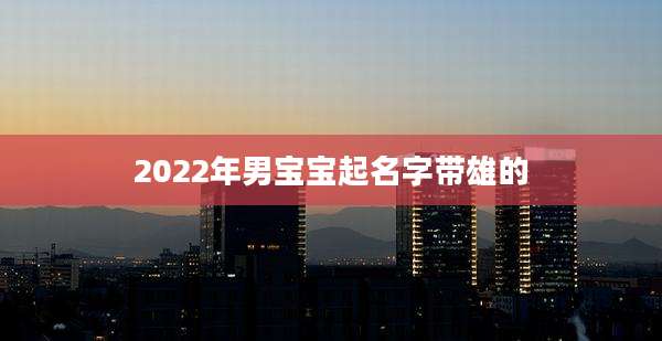 2022年男宝宝起名字带雄的