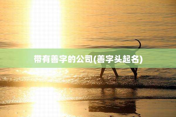 带有善字的公司(善字头起名)