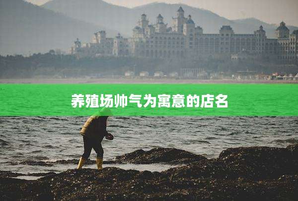 养殖场帅气为寓意的店名