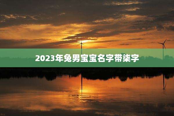 2023年兔男宝宝名字带柒字
